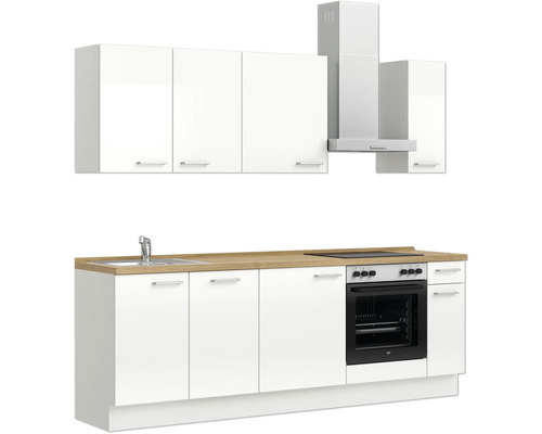 Küchenzeile mit Spüle, Kochfeld, Backofen, Dunstabzugshaube und Hängeschränken