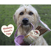 Hund mit Carnello Hundespaghetti Packung im Maul