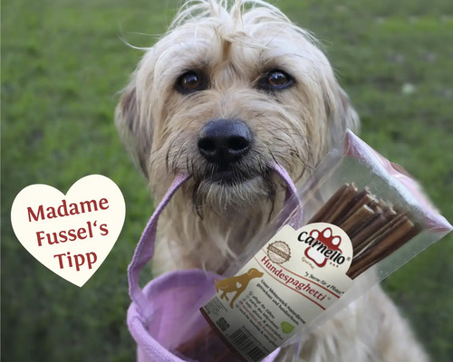 Hund mit Carnello Hundespaghetti Packung im Maul