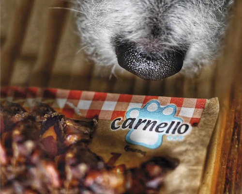 Hundenase über Carnello Hundesnacks