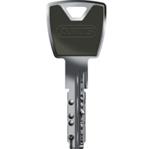 Profilzylinder XP20SN Abus 45/65 mm gleichschließend