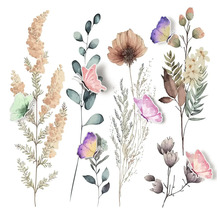 Illustration von Blumen und Schmetterlingen