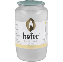 Grabkerze mit Hofer Friedlicht Logo