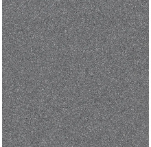 Graue Bodenfliese mit gesprenkelter Oberfläche