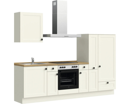 Küchenzeile mit Spüle, Kochfeld, Backofen und Dunstabzugshaube