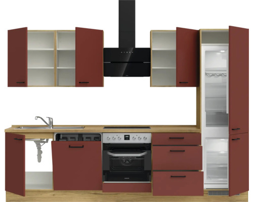 Komplette Küche mit Spüle, Geschirrspüler, Backofen, Dunstabzugshaube, Kühlschrank und Schränken