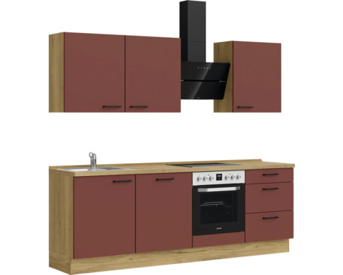 Komplette Küchenzeile mit Spüle, Herd, Dunstabzugshaube und Schränken