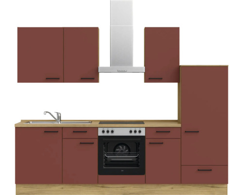 Komplette Küchenzeile mit Spüle, Kochfeld, Backofen, Dunstabzugshaube und Schränken