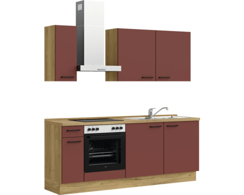 Küchenzeile mit Spüle, Herd, Backofen, Dunstabzugshaube und Hängeschränken