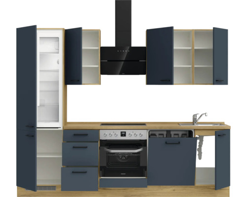 Küchenzeile mit Schränken, Spüle, Kochfeld, Backofen, Dunstabzugshaube und Kühlschrank