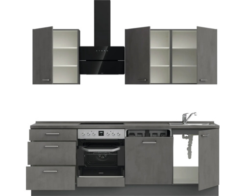 Küchenzeile mit Hängeschränken, Dunstabzugshaube, Spüle und Einbaugeräten