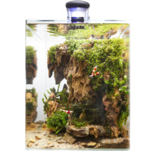 Aquarium mit Dekoration, Pflanzen und Garnelen
