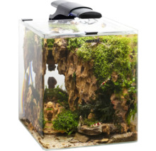Dekoratives Aquarium mit Felsen und Pflanzen