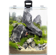 Aquarium mit Steinen, Pflanzen und Garnelen