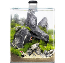 Eingerichtetes Aquarium mit Steinen, Pflanzen und Garnelen