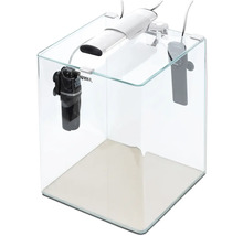 Klares Glasaquarium mit Filter und Beleuchtung