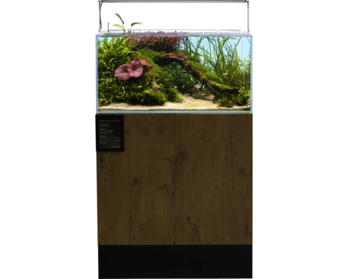 Eingerichtetes Aquarium mit Unterschrank