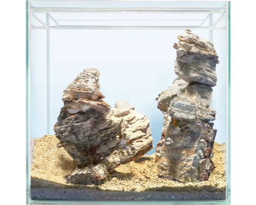 Dekoratives Aquarium mit Steinen und Kies