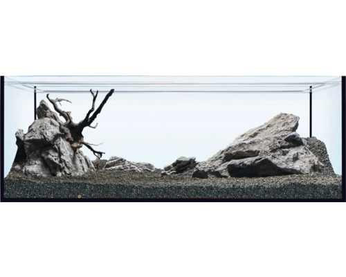 Aquarium mit Steinen und Wurzelholz dekoriert