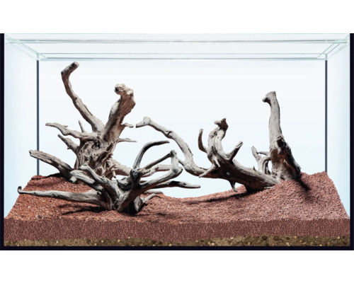 Dekoratives Aquarium mit Holzwurzeln und Bodengrund
