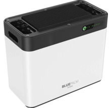 Bluepalm Powerstation 2240 Wh 800 W-thumb-2