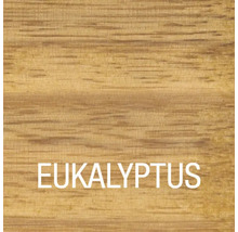 BONDEX Eukalyptus-Öl 750 ml-thumb-3