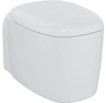 Wandhängendes WC aus Keramik mit Spülkasten