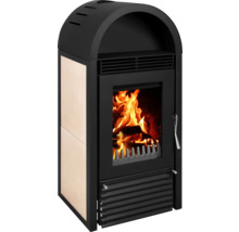 Kaminofen mit Holzfeuer hinter einer Glasscheibe