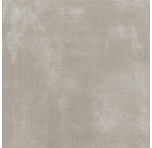 Wand- und Bodenfliese Terra cemento 59,7x59,7cm matt rektifiziert