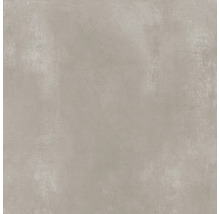 Wand- und Bodenfliese Terra cemento 59,7x59,7cm matt rektifiziert