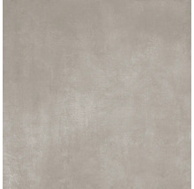 Wand- und Bodenfliese Terra cemento 59,7x59,7cm matt rektifiziert