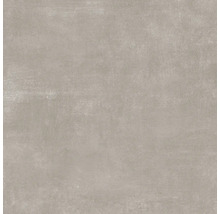Wand- und Bodenfliese Terra cemento 59,7x59,7cm matt rektifiziert