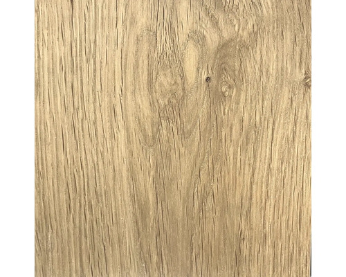 Holzstruktur, Nahaufnahme