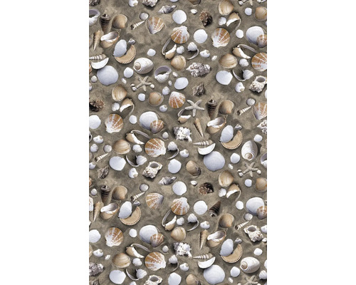 Dekor mit Muscheln und Seesternen