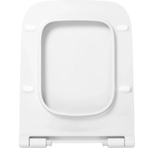 Toilettendeckel aus Kunststoff