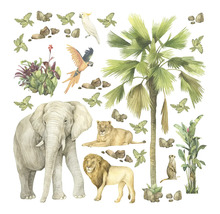 Illustration von Tieren und Pflanzen der Savanne