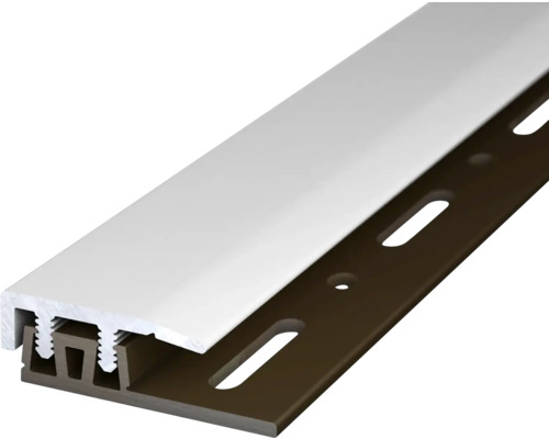 Prinz Abschlußprofil Profi-Design silber 21 mm x 0,9 m Türdichtungsprofil für den Hornbach Webshop
