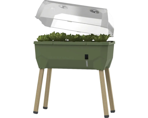 Hochbeet auf Stelzen Gusta Garden Sammy Salad inkl. Deckel 79 x 37,5 x 95 cm dunkelgrün