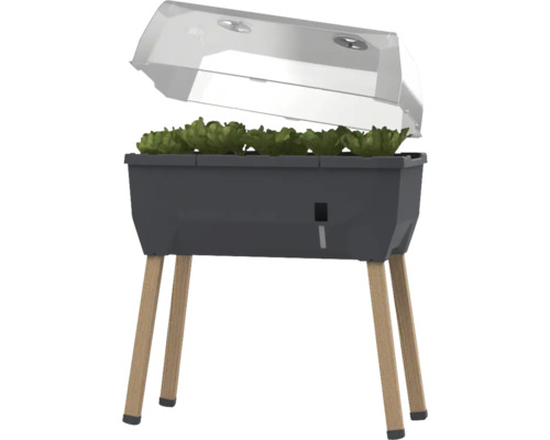 Hochbeet auf Stelzen Gusta Garden Sammy Salad inkl. Deckel 79 x 37,5 x 95 cm anthrazit