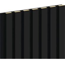 Akustikpaneel schwarz 2800 x 300 x 22 mm