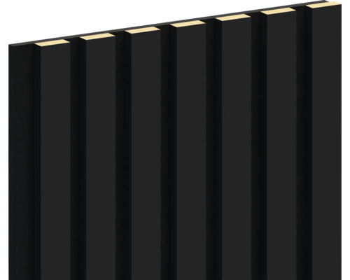 Akustikpaneel schwarz 2800 x 300 x 22 mm