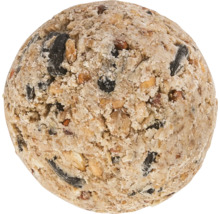 Vogelfutterknödel mit Samen und Nüssen