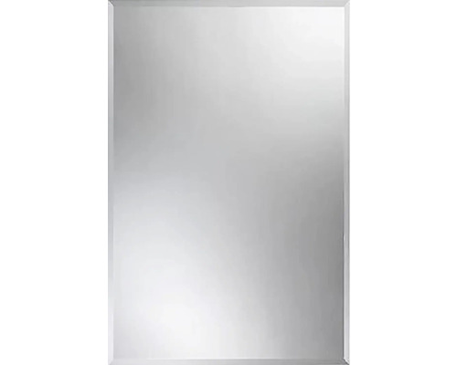 Spiegel Crystal 90 x 60 cm mit Facette