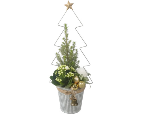 Zimmerpflanzen Arrangement Mini Weihnachtsbaum FloraSelf Ø 13 cm Zinktopf