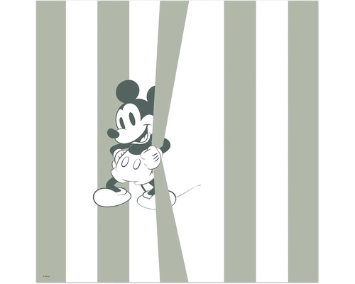 Leinwandbild Mickey Be Yourself 40x40 cm