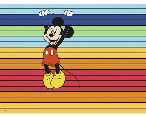 Leinwandbild Mickey Band of Color 40x30 cm