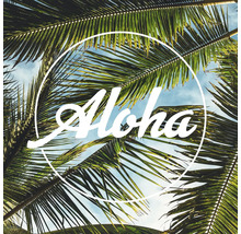Aloha Schriftzug mit Palmenblättern im Hintergrund