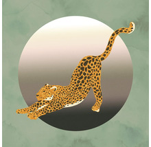 Illustration eines sich streckenden Leoparden vor einem runden Hintergrund