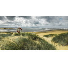 Strandlandschaft mit Rettungsring, Düne und bewölktem Himmel