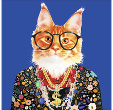 Illustration einer Katze mit Brille, Bluse und Halsketten
